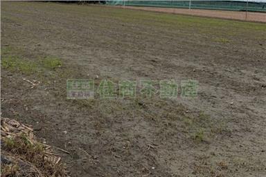 崙背新草湖農地房屋室內格局與周邊環境