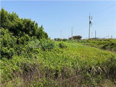 雲林台西方正農地房屋室內格局與周邊環境