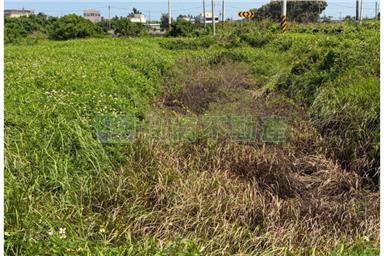 雲林台西方正農地房屋室內格局與周邊環境