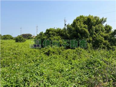 雲林台西方正農地房屋室內格局與周邊環境