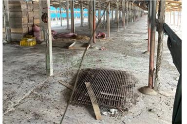 台西養鴨場房屋室內格局與周邊環境