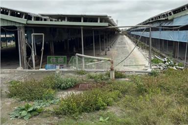 台西養鴨場房屋室內格局與周邊環境