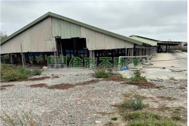 台西養鴨場房屋室內格局與周邊環境