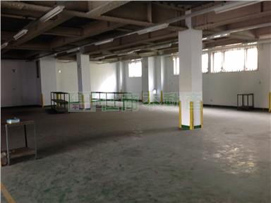大里工業區鋼骨丁建大廠房房屋室內格局與周邊環境