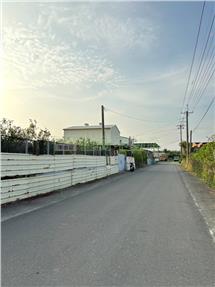 麻豆加輦邦方正優質文旦園B