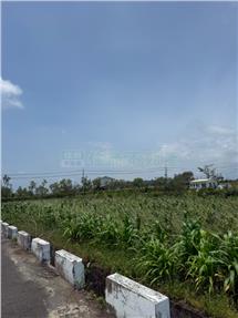 佳里近市中心漂亮農地房屋室內格局與周邊環境