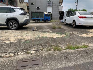 近瓜瓜園故事館82坪四正建地房屋室內格局與周邊環境