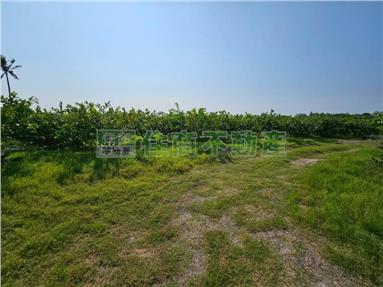 美濃農地房屋室內格局與周邊環境