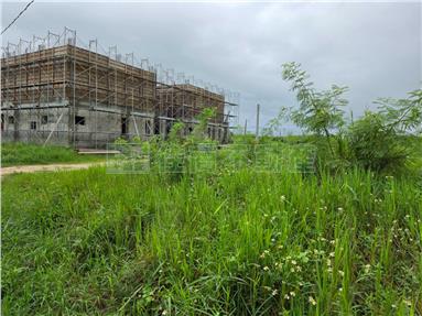 白坑臨路農地房屋室內格局與周邊環境