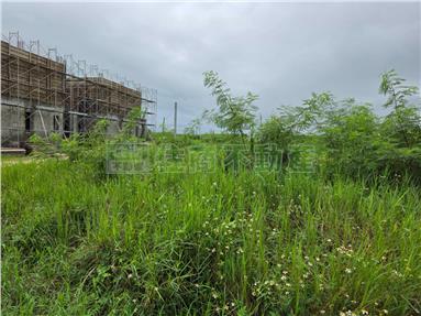 白坑臨路農地房屋室內格局與周邊環境