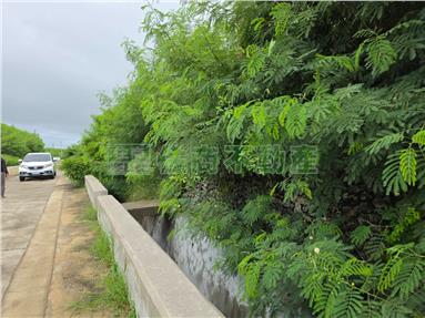 白坑臨路方正農地房屋室內格局與周邊環境