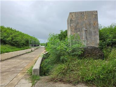 白坑臨路方正農地房屋室內格局與周邊環境