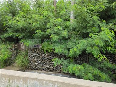 白坑臨路方正農地房屋室內格局與周邊環境
