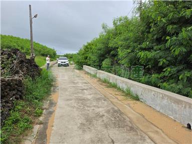 白坑臨路方正農地房屋室內格局與周邊環境