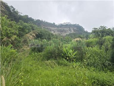 中埔石硦農地1甲房屋室內格局與周邊環境