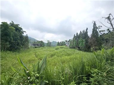 中埔石硦農地1甲房屋室內格局與周邊環境