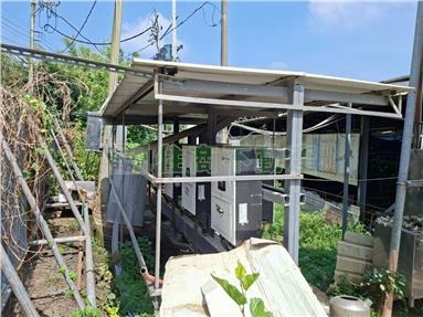 雙收益合法豬舍金雞母房屋室內格局與周邊環境