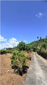 華山國小旁大面寬丙建地房屋室內格局與周邊環境