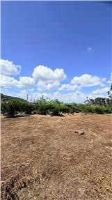 華山國小旁大面寬丙建地房屋室內格局與周邊環境