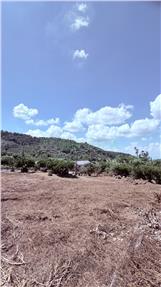 華山國小旁大面寬丙建地房屋室內格局與周邊環境