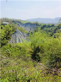 5613-田寮持分土地出售房屋室內格局與周邊環境