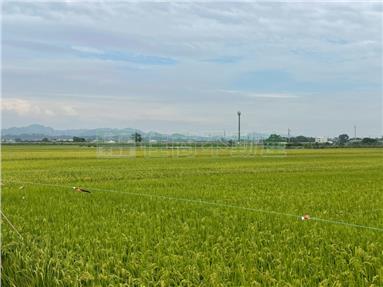 東山吉貝耍角窗農地A房屋室內格局與周邊環境