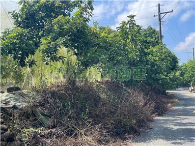 大內近走馬瀨現有果樹農地房屋室內格局與周邊環境
