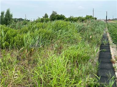 水林大山三分田房屋室內格局與周邊環境
