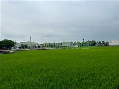 斗南都內金水田房屋室內格局與周邊環境