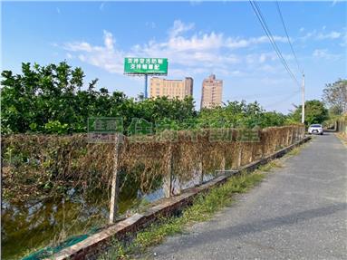 麻豆交流道都內100坪美農地