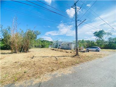 協同旁都計內農地+合法農舍房屋室內格局與周邊環境