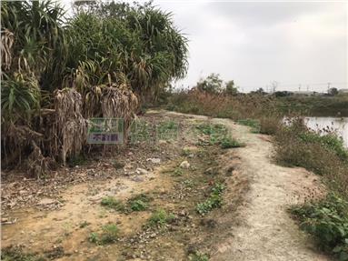 義竹特定專用區農牧用地房屋室內格局與周邊環境