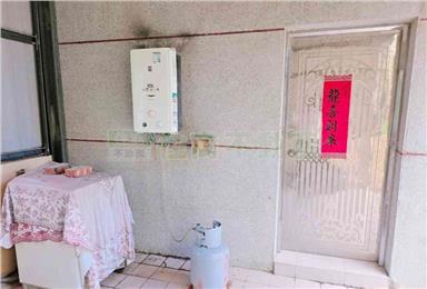鹽水55地坪獨院朝南車墅房屋室內格局與周邊環境