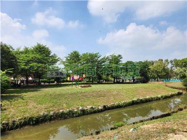 新厝未保存平房土地房屋室內格局與周邊環境