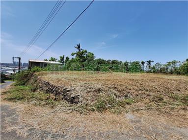 仁武綠園新村286坪建地房屋室內格局與周邊環境