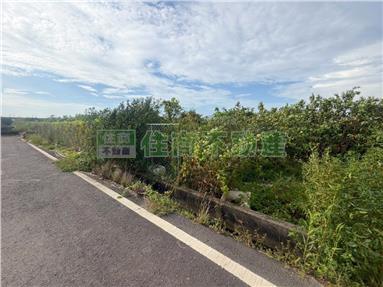太保春珠農地房屋室內格局與周邊環境