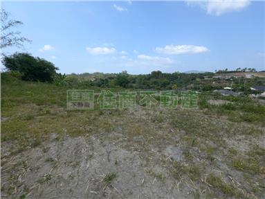 南化中坑段青山綠水仙境別墅土地房屋室內格局與周邊環境