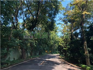 白河白水溪段地勢平坦優質農地房屋室內格局與周邊環境