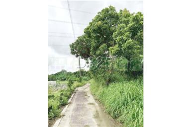 近南寶高爾夫球場旁農地房屋室內格局與周邊環境