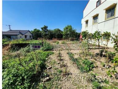 東山東河段社區乙建袋地俗賣房屋室內格局與周邊環境