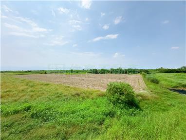 後壁白沙八掌溪旁持分農地房屋室內格局與周邊環境