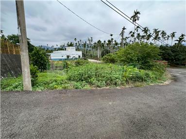 中埔社口國小旁雙面路建地房屋室內格局與周邊環境
