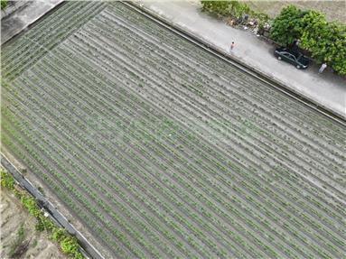 北港福德段優質農地房屋室內格局與周邊環境