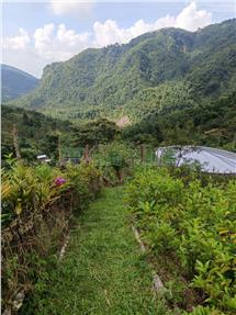 梅山太興渡假美農地房屋室內格局與周邊環境