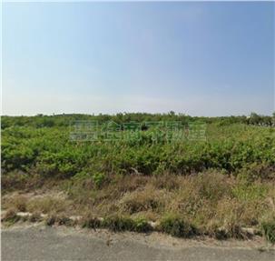 專安南南興段682坪都內農地房屋室內格局與周邊環境