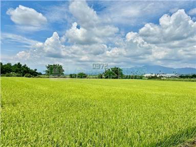 東山吉貝耍1.7分美農地房屋室內格局與周邊環境