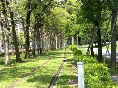 美術館首排面樹海3+1房大平車房屋室內格局與周邊環境