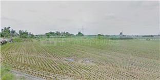 善化1129坪優質農地