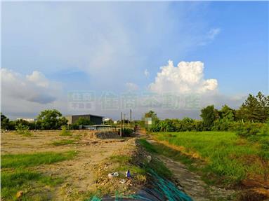 新化頂山腳943綜合果園