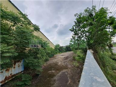 善化區近火車站大馬路旁農地